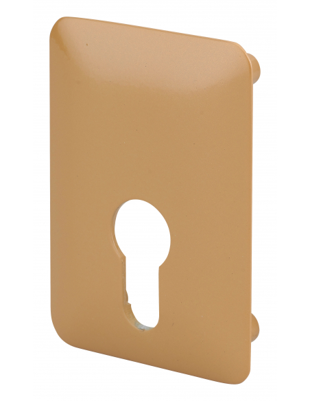 Plaque de renfort cylindre profilé pour verrou Corvette, fixation par vis, époxy bronze - THIRARD Plaque de renfort