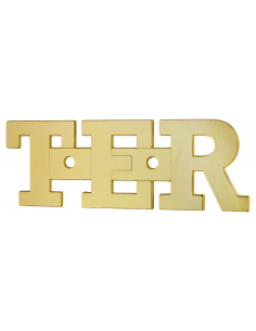 Plaque de signalisation TER, à visser, 51x34mm, laiton - THIRARD Lettres à visser