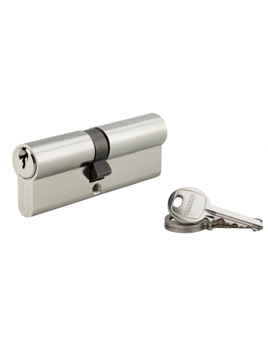 Cylindre de serrure double entrée SA UNIKEY (achetez-en plusieurs, ouvrez avec la même clé), 40x45mm, 3 clés, nickelé - THIRA...
