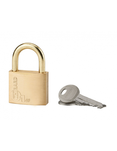 Cadenas à clé Type 1 UNIKEY (achetez-en plusieurs, ouvrez avec la même clé), 40mm, anse laiton, 2 clés - THIRARD Cadenas s'en...