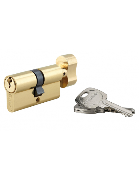 Cylindre de serrure à bouton STD UNIKEY (achetez-en plusieurs, ouvrez avec la même clé), 30Bx30mm, 3 clés, laiton - THIRARD C...