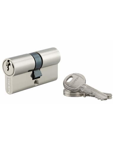 Cylindre de serrure double entrée HG5 UNIKEY (achetez-en plusieurs, ouvrez avec la même clé), 30x30mm, 3 clés, nickel - THIRA...