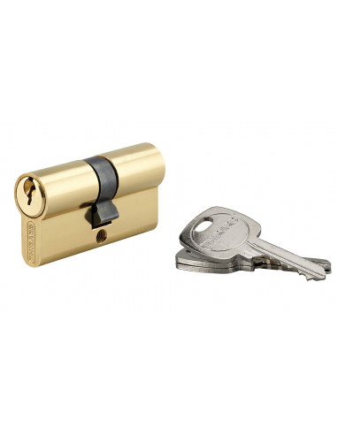 Cylindre de serrure double entrée STD UNIKEY (achetez-en plusieurs, ouvrez avec la même clé), 30x30mm, 3 clés, laiton - THIRA...