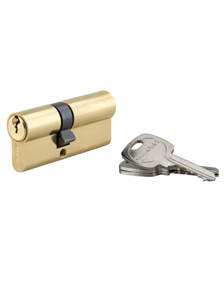 Cylindre de serrure double entrée STD UNIKEY (achetez-en plusieurs, ouvrez avec la même clé), 30x40mm, 3 clés, laiton - THIRA...