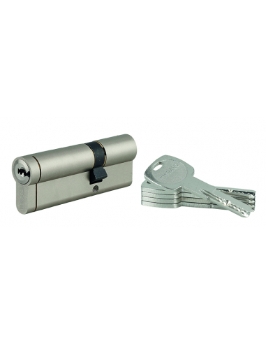 Cylindre double entrée Transit 1 UNIKEY (achetez-en plusieurs, ouvrez avec la même clé), 30x60mm, 5 clés, nickelé - THIRARD C...