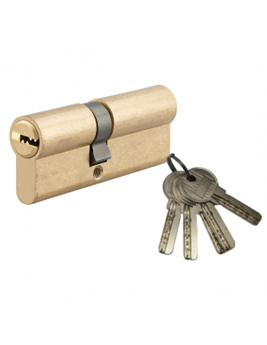 Cylindre de serrure à double entrée 5G, 40x40mm, laiton, anti-arrachement, 5 clés - SP Cylindres à double entrée