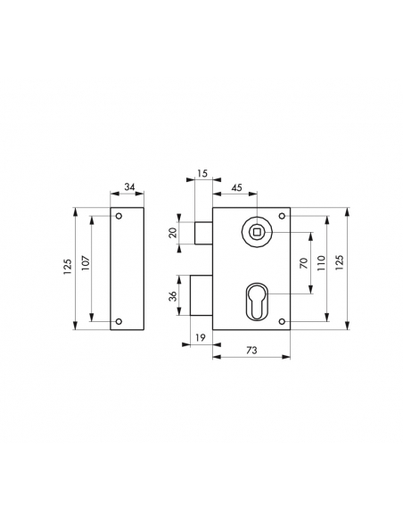 Boitier de serrure verticale en applique double entrée à fouillot pour entrée, gauche, axe 45mm, 73x125mm, noir - THIRARD Ser...