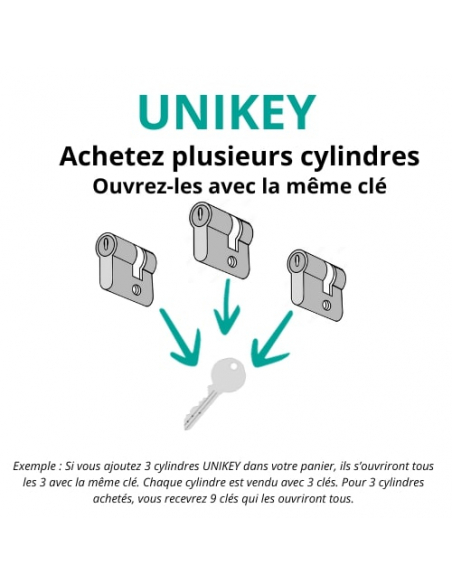 Demi-cylindre de serrure SA UNIKEY (achetez-en plusieurs, ouvrez avec la même clé), 30x10mm, 3 clés, nickel - THIRARD Cylindr...