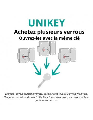 Verrou Corvette à bouton UNIKEY (achetez-en plusieurs, ouvrez avec la même clé), cylindre 45mm, 3 clés - THIRARD Verrous s'en...
