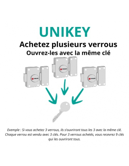 Verrou double entrée Concorde UNIKEY (achetez-en plusieurs, ouvrez avec la même clé), cylindre 40mm, 3 clés - THIRARD Verrous...