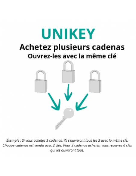 Cadenas à clé Type 1 UNIKEY (achetez-en plusieurs, ouvrez avec la même clé), 35mm, anse laiton, 2 clés - THIRARD Cadenas s'en...