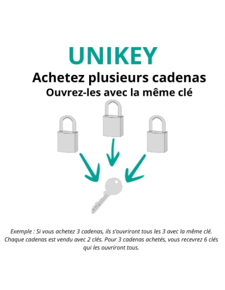 Cadenas à clé Mach 2 UNIKEY (achetez-en plusieurs, ouvrez avec la même clé), 25mm, 2 clés - THIRARD Cadenas s'entrouvrant