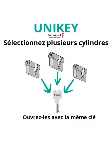 Cylindre double entrée Transit 1 UNIKEY (achetez-en plusieurs, ouvrez avec la même clé), 50x60mm, 5 clés, nickelé - THIRARD C...