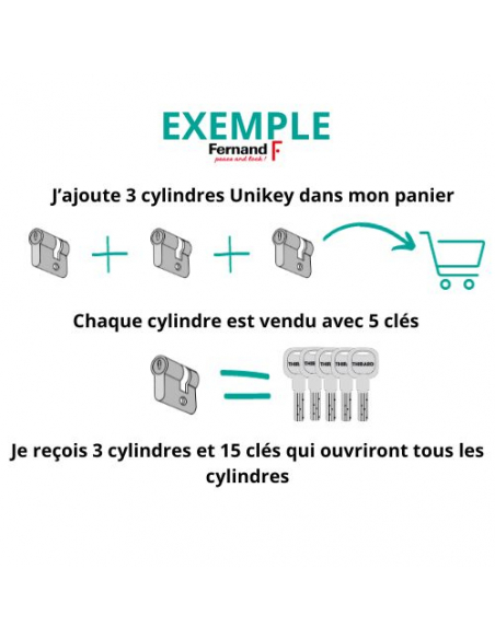 Cylindre double entrée Transit 1 UNIKEY (achetez-en plusieurs, ouvrez avec la même clé), 45x55mm, 5 clés, nickelé - THIRARD C...