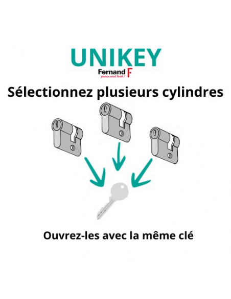 Cylindre de serrure double entrée SA UNIKEY (achetez-en plusieurs, ouvrez avec la même clé), 30x30mm, 3 clés, nickelé - THIRA...