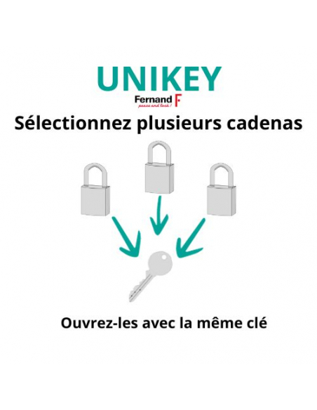 Cadenas à clé Fédéral Lock 720P UNIKEY (achetez-en plusieurs, ouvrez avec la même clé), 63.5mm, anse protégée, 2 clés - THIRA...