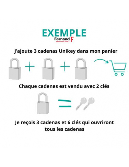 Cadenas à clé Fédéral Lock 720P UNIKEY (achetez-en plusieurs, ouvrez avec la même clé), 63.5mm, anse protégée, 2 clés - THIRA...