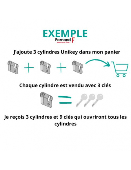 Cylindre de serrure double entrée STD UNIKEY (achetez-en plusieurs, ouvrez avec la même clé), 30x40mm, 3 clés, laiton - THIRA...