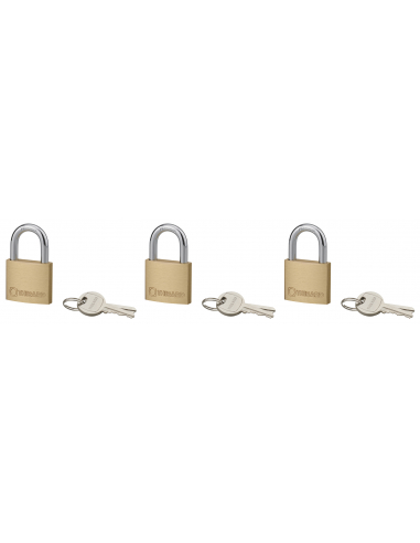 Lot de 3 cadenas Type1+, 40mm, anse acier, 2 clés/cadenas, s'entrouvrant avec la même clé - THIRARD Cadenas
