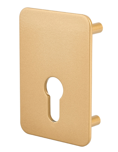 Plaque de renfort cylindre profilé pour verrou Capital, fixation par vis, époxy bronze - THIRARD Plaque de renfort