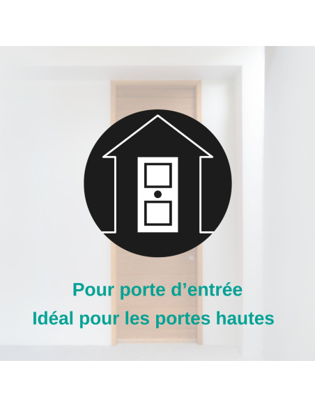 Verrou à bouton Mirage 6 pour porte d'entrée, cylindre 45mm, tringle 2 pts en acier, bas, gauche, 3 clés, bronze - THIRARD Ve...