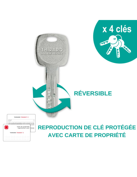 Verrou à bouton Trafic 6 pour porte d'entrée, cylindre 45mm, acier, 4 clés, époxy or - THIRARD Verrous