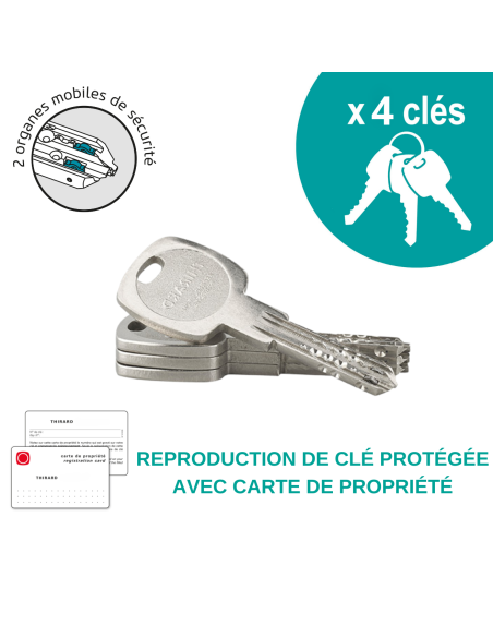 Verrou à bouton Atlantic M pour porte d'entrée, cylindre 45mm, acier, 4 clés, époxy or - THIRARD Verrou de porte