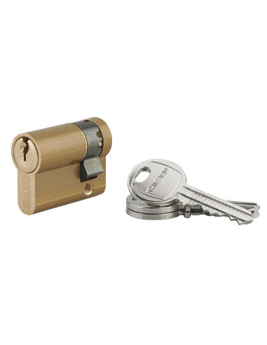 Demi-cylindre de serrure HG5, panneton orientable, anti-arrachement, 30x10mm, laiton, 3 clés - THIRARD Cylindre de serrure