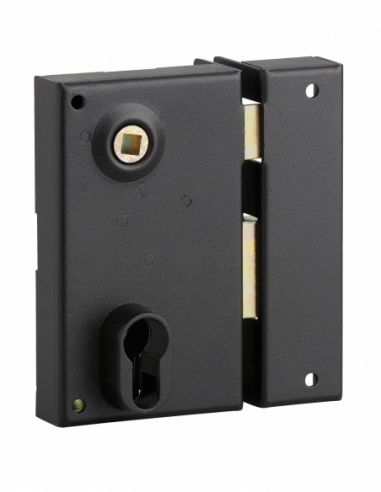 Boitier de serrure verticale en applique double entrée à fouillot pour entrée, droite, axe 45mm, 73x125mm, noir - THIRARD FBA