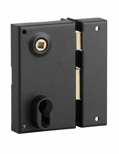 Boitier de serrure verticale en applique double entrée à fouillot pour entrée, droite, axe 45mm, 73x125mm, noir - THIRARD FBA