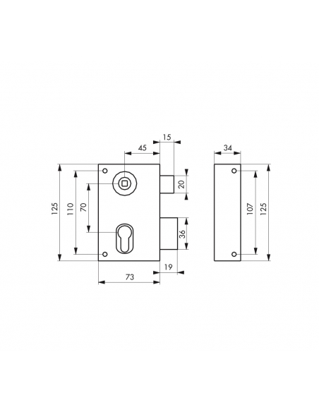 Boitier de serrure verticale en applique double entrée à fouillot pour entrée, droite, axe 45mm, 73x125mm, noir - THIRARD FBA