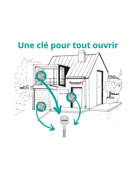 Cylindre de serrure double entrée Trafic 6 UNIKEY (achetez-en plusieurs, ouvrez avec la même clé), 30x30mm, 5 clés - THIRARD ...