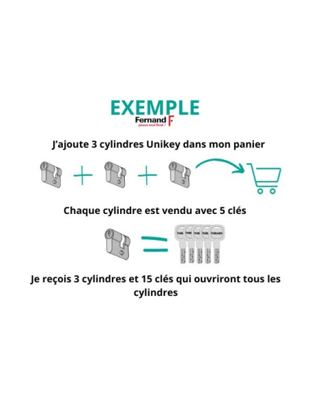 Cylindre de serrure double entrée Trafic 6 UNIKEY (achetez-en plusieurs, ouvrez avec la même clé), 30x30mm, 5 clés - THIRARD ...