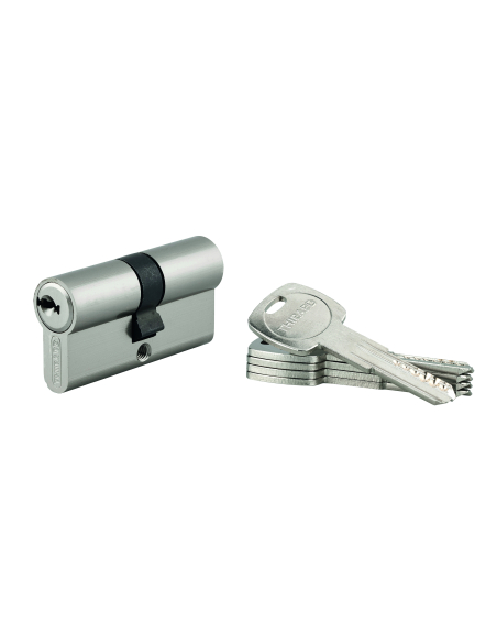 Cylindre de serrure double entrée Trafic 6 UNIKEY (achetez-en plusieurs, ouvrez avec la même clé), 30x30mm, 5 clés - THIRARD ...