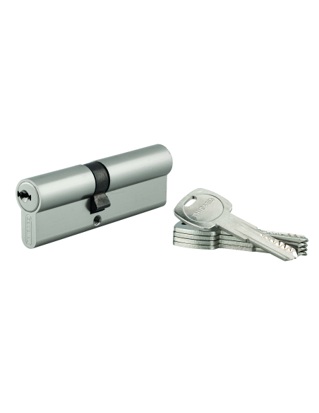 Cylindre de serrure double entrée Trafic 6 UNIKEY (achetez-en plusieurs, ouvrez avec la même clé), 40x40mm, 5 clés - THIRARD ...