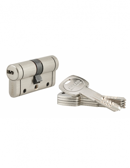 Cylindre de serrure Trafic 12, 30x30mm, nickel, anti-arrachement, anti-perçage, anti-casse, 5 clés - THIRARD FBA