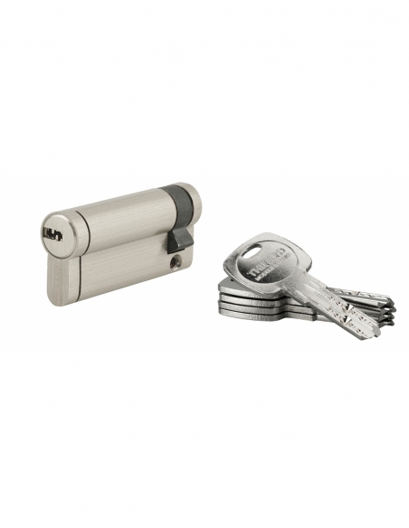 Demi-cylindre de serrure Trafic 12, 60x10mm, nickel, anti-arrachement, anti-perçage, anti-casse, 5 clés - THIRARD FBA