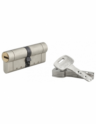 Cylindre de serrure double entrée Federal S, 42x42mm, nickel, anti-arrachement, anti-perçage, 5 clés - THIRARD Cylindre de se...