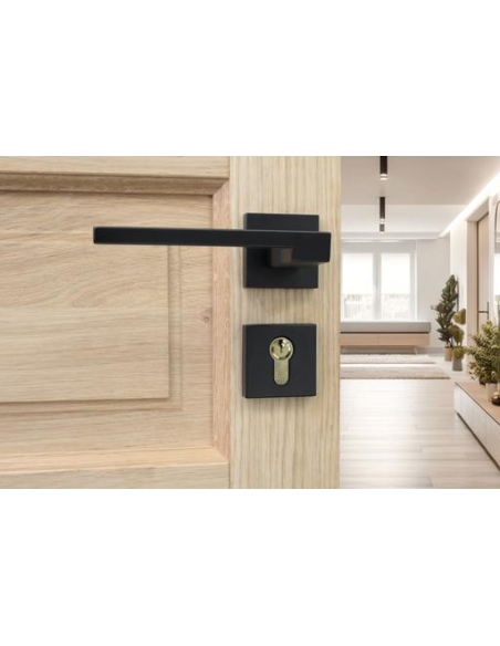Cylindre de serrure double entrée FTH 5G, 40x40mm, cylindre et clés en laiton, 3 clés crantées - FTH Cylindres à double entrée