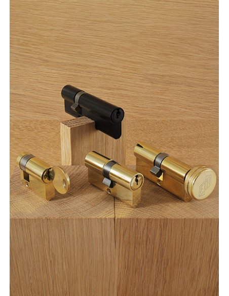 Cylindre de serrure double entrée FTH 6G, 30x65mm, cylindre et clés en laiton, noir mat, 3 clés plates réversibles - FTH Cyli...