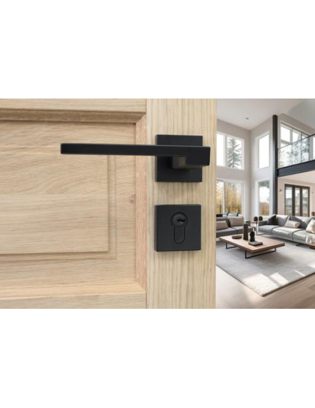 Cylindre de serrure double entrée FTH 6G, 30x65mm, cylindre et clés en laiton, noir mat, 3 clés plates réversibles - FTH Cyli...