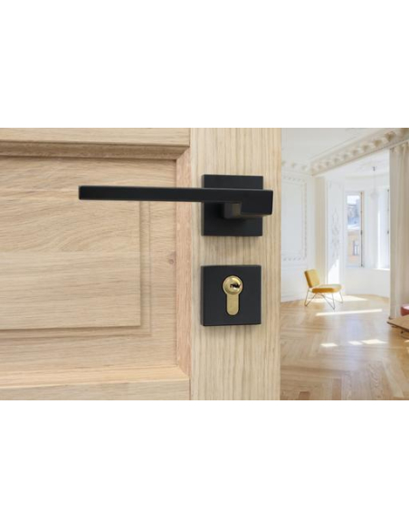 Cylindre de serrure double entrée FTH 6G, 40x50mm, cylindre et clés en laiton, 3 clés plates réversibles - FTH Cylindres à do...
