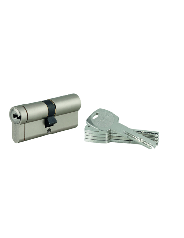 Cylindre de serrure débrayable Transit 1, 40x40mm, 5 clés, nickelé - THIRARD Cylindre de serrure