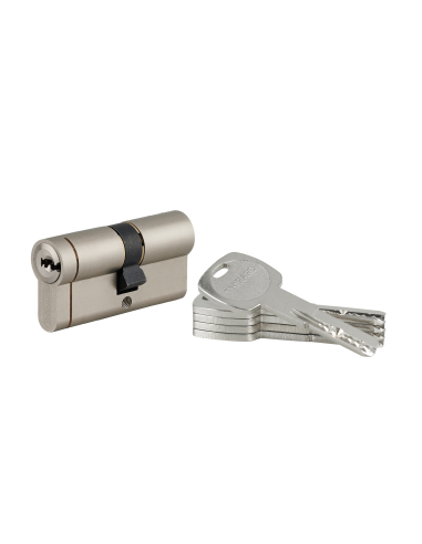 Cylindre de serrure débrayable Transit 1, 30x35mm, 5 clés, nickelé - THIRARD Cylindre de serrure