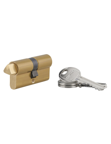 Cylindre triangle externe 14 profilé HG, 30x30mm, 3 clés, laiton - THIRARD Cylindre de sûreté