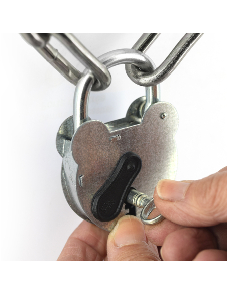 Cadenas FTH 2493 à clé, corps en acier galvanisé de 55mm, anse en acier zingué de Ø 6,5mm, 2 clés à gorges - FTH Cadenas à clé