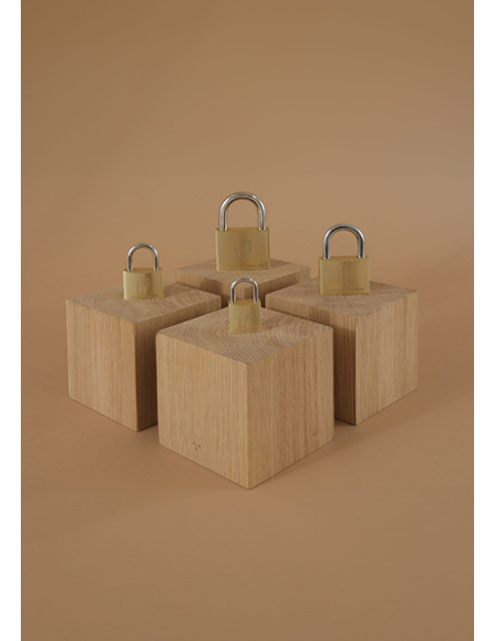Cadenas FTH MH2 à clé, corps en laiton et anse en acier cémenté, base de 45mm, anse demi-haute 60mm, 2 clés - FTH Cadenas à clé