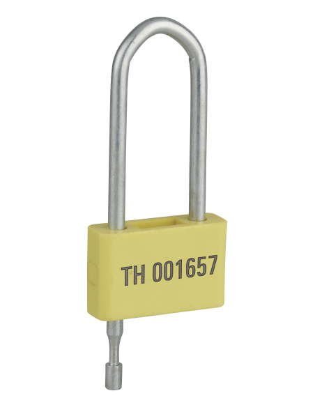 Plomb scellé cadenas, sachet de 10 pcs - THIRARD Accessoires de consignation