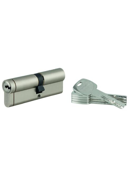Cylindre double entrée Transit 1 UNIKEY (achetez-en plusieurs, ouvrez avec la même clé), 45x55mm, 5 clés, nickelé - THIRARD C...