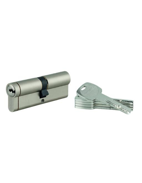 Cylindre double entrée Transit 1 UNIKEY (achetez-en plusieurs, ouvrez avec la même clé), 45x50mm, 5 clés, nickelé - THIRARD C...